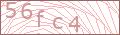  Friedhof Captcha