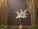 pers&ouml;nlicher Abschied Bühl