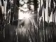 Trauerfeier  Eschringen